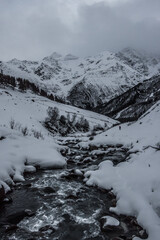 river in the mountains of the Caucasus among the forest in the evening