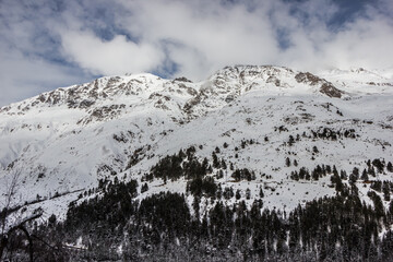winter snow-covered forest in the Caucasus mountains