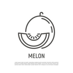 Melon thin line icon. Tropical fruit. Healthy vegan food. Vector illustration.