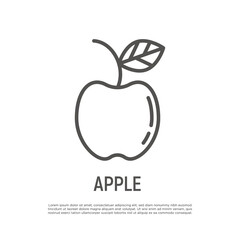 Obraz premium Apple thin line icon. Healthy organic food. Vector illustration.