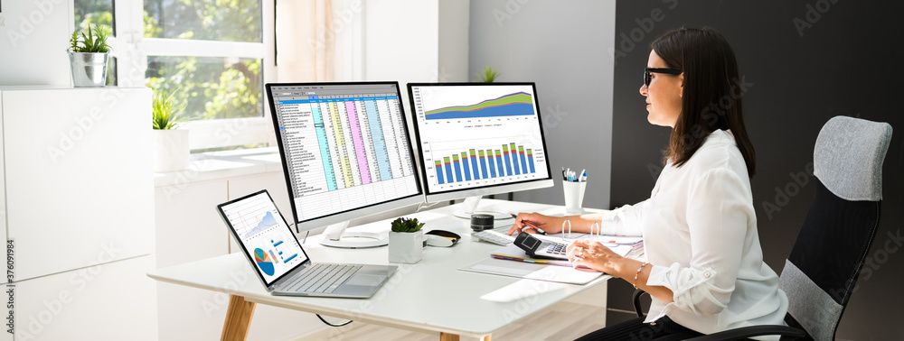 Poster Analyst Working With Spreadsheet Business Data