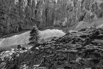 Fototapeta na wymiar An evocative glimpse that shows the strong contrast between the vegetation and the bare rock
