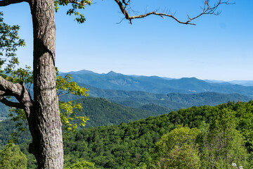 Springtime Appalachian Mountain View Along the Blue Ridge Parkway