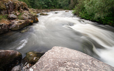 waterfall in the forest