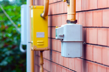 fire hydrant in the park