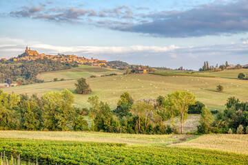 Fototapeta na wymiar Monferrato vineyards summer panorama. Color image