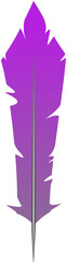 Stylized purple feather