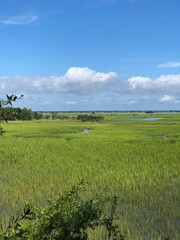 Marsh 4