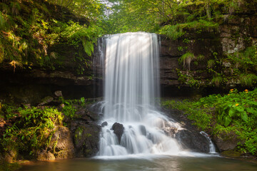 Amazing sunrays on scenic Skok waterfall, long exposure blurred motion of the water and vivid green plants on the wet, dark rocks © Nikola