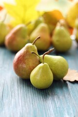 Fresh pears, autumn leaves on a wooden table, organic fruits, harvest, Thanksgiving
