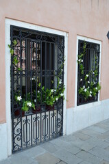 
windows with metal grating and white flowers on the sill