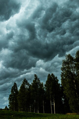 
menacing and impressive storm clouds over the green, wild forest