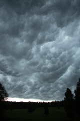 
menacing and impressive storm clouds over the green, wild forest