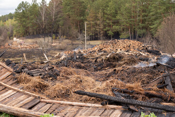 Fototapeta na wymiar Ruins of house burnt in flame due to fire in the forest during very dry weather. Ashes against the background of half burned forest. Concept of danger, fire.