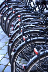 Fototapeta na wymiar Lange Reihe auf einer Straße abgestellter Fahrräder