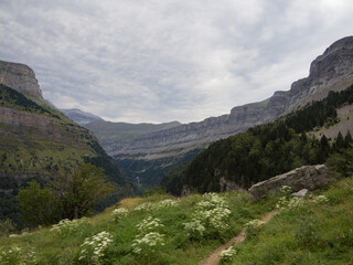 Fototapeta na wymiar Ordesa Valley in the Pyrenees with mountains in the background.