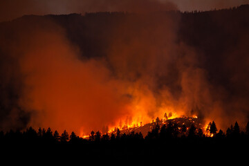 Fototapeta na wymiar Raging wall of smoke coming from wildfire in forested valley area