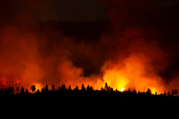 Fototapeta na wymiar Raging wall of smoke coming from wildfire in forested valley area