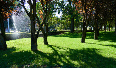 Fototapeta na wymiar bright day in the city Park, green grass lawn and trees, watering plants