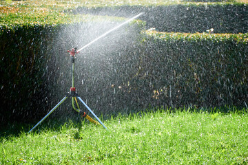 watering plants in a city Park, green grass lawn and trees, bright day