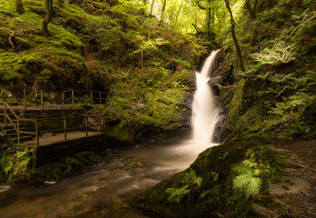 Waterfall Dolgoch Falls in north Wales