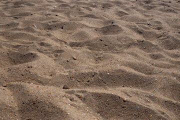 Sea golden sand with shells glistens in the sun Sea shore on a summer day.