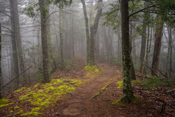 Fototapeta premium Fog Covers Ridge Top Trail