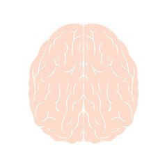 Brain icon. Internal human organ vector illustration isolated on white 