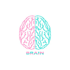 Brain colorful icon. Brain vector with pink and blue colors isolated on white