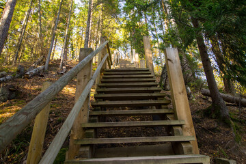 Wooden stairs in the Gauja national park