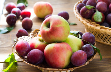 Fresh ripe plums and apples in a birch bark bowl. Fruit harvest. Healthy food concept.