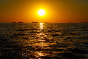 Obraz premium Gelendzhik is a Russian resort on the Black Sea.