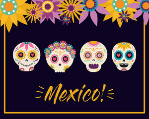 mexican skull heads with flowers vector design