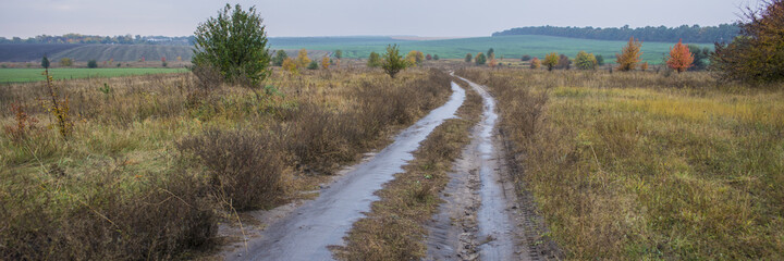 Wet dirt road among fields in rainy weather. Autumn season.