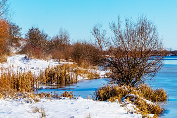 Winter landscape with trees and dry reeds by the river