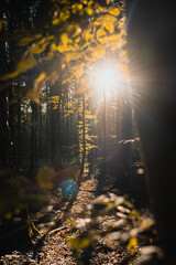 Calm and peaceful sun rays in the mountain forest with warm sunlight