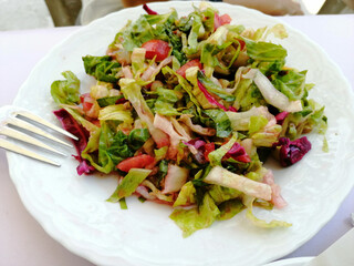delicious salads made with organic vegetables