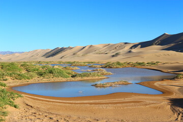 Gobi Wüste, Mongolei