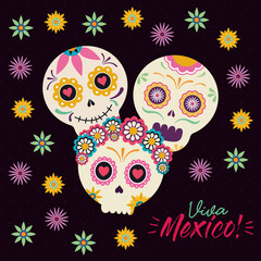 Fototapeta premium mexican skull heads with flowers vector design