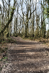 A view of the Shropshire Countryside near Shrewsbury