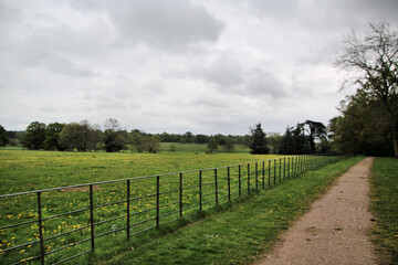 A view of the Shropshire Countryside near Shrewsbury