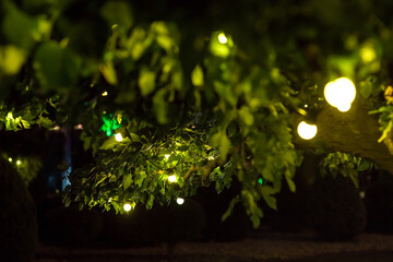 garland of light bulbs glowing with warm light suspended from tree branches with green leaves in backyard garden with festive decor, closeup holiday night party details, nobody