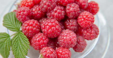 Close-up of fresh raspberries with green leaf  of a raspberry bush on a plate.