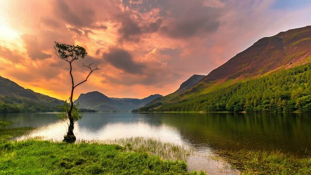 Sunrise over lone tree on Buttermere lake in Lake District. Clouds rolling through orange sky over mountain peaks and scenic valley with lake.Tranquil morning nature scene.4K time-lapse video clip. 