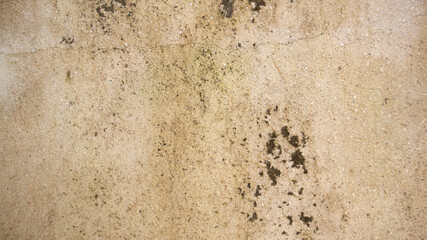 old wall with lichen,moss on the white wal, Dirty white wall background  close up moss texture on cement wall, dirty concrete floor, dried moss on plaster surface