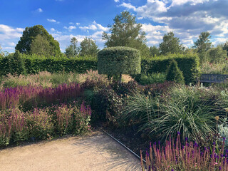 Contemporary garden view with topiary. RHS Hyde Hall, England, August 2020
