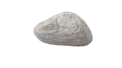 gneiss rock specimen on white background. gneiss is metamorphic rocks.Stone on white background