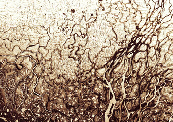 Pattern of terrain on satellite photo, Earth from space. Aerial view of river delta, abstract texture background. Elements of image furnished by NASA.