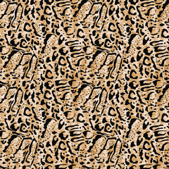 Leopard design, vector illustration background