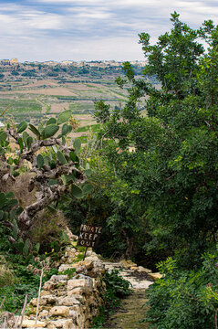 private properity with the view